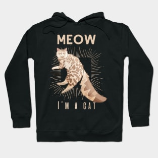 Meow, I’m a cat - Cashmere cat Hoodie